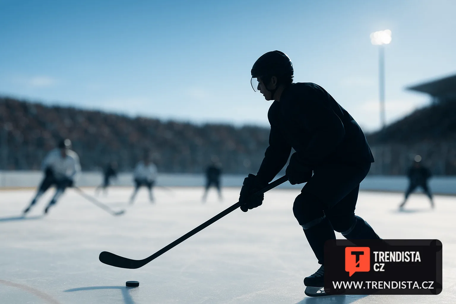Radim Mrtka: Český hokejový obránce na prahu NHL